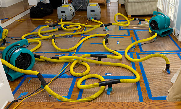 Professional Structural Drying And Dehumidification technician working in Port Huron, MI